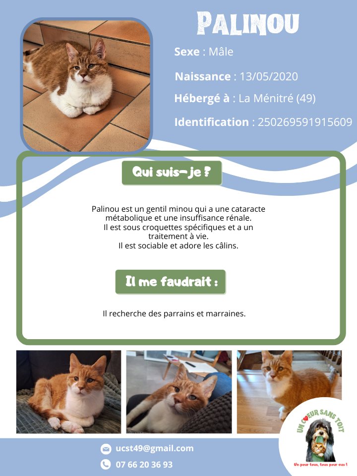 palinou