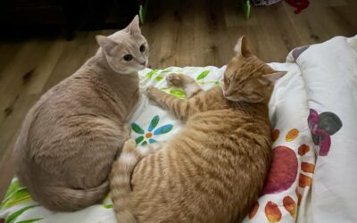 Winnie et Elie